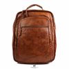 Bear Design Laptoptassen T/M 17,3 Inch | Rugzak 'Ties' Cl 40848 Cognac
