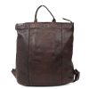 Bear Design Laptoptassen T/M 14 Inch | Rugzak 'Maxime' Donkerbruin